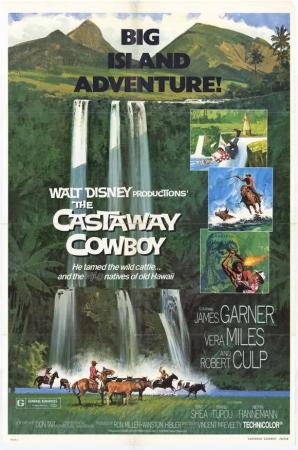 The Castaway Cowboy (1974) poster